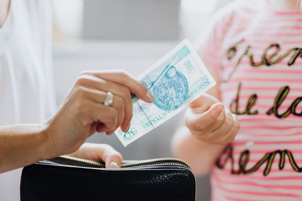 Basic Travel Allowance for Canada